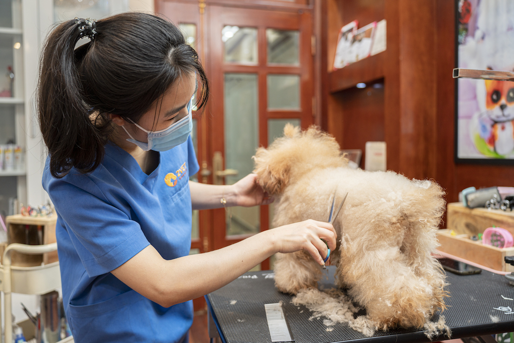 2Vet Bình Thạnh