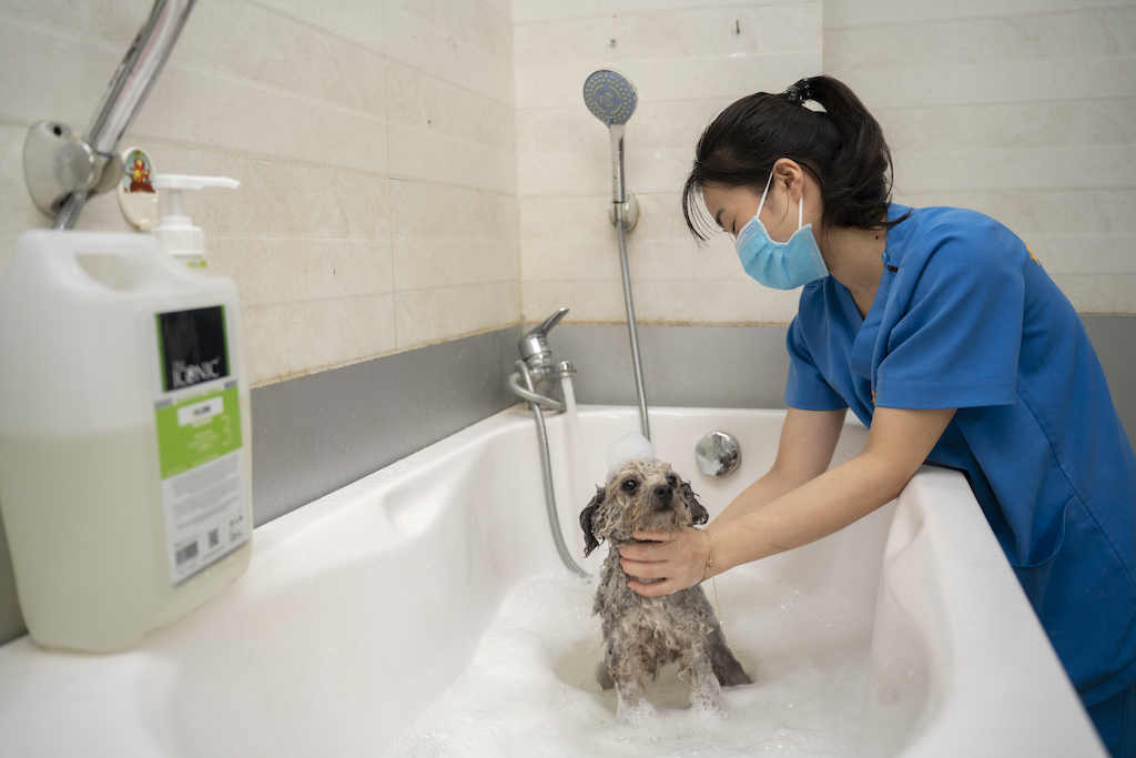 2Vet Bình Thạnh