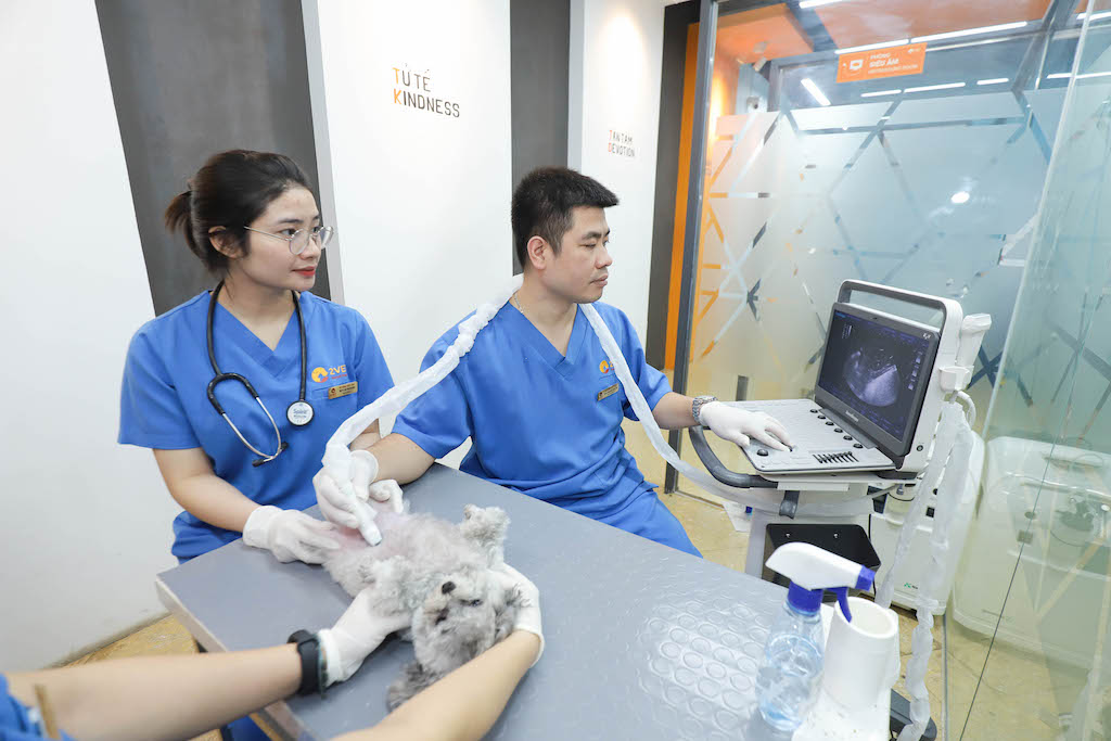 2Vet Bình Thạnh