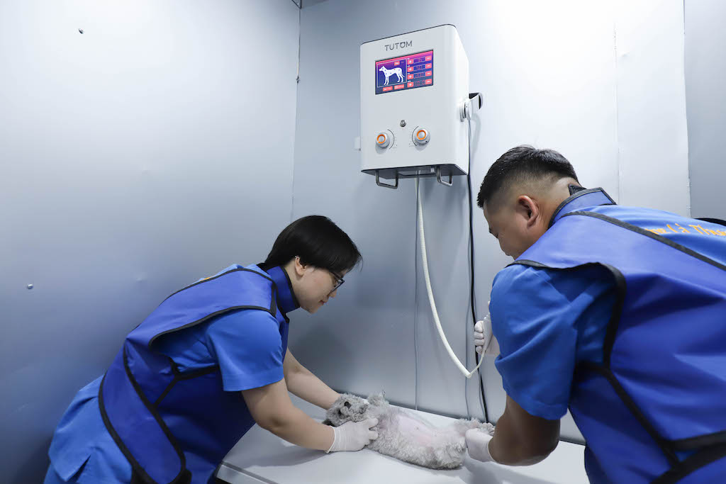 2Vet Bình Thạnh