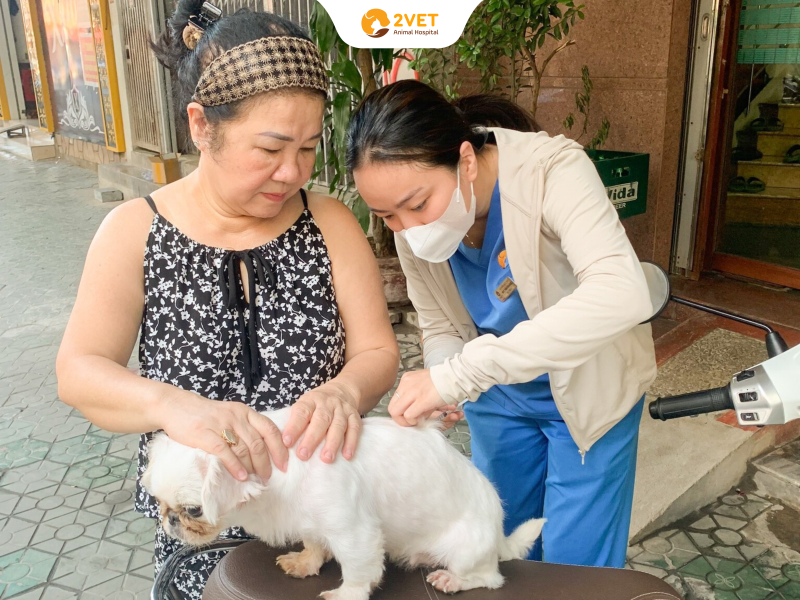 thú-y-Bình-Thạnh