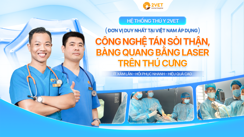 công-nghệ-tán-sỏi-bằng-laser