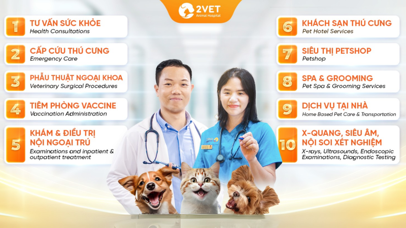 bệnh-viện-thú-y-Hà-Đông