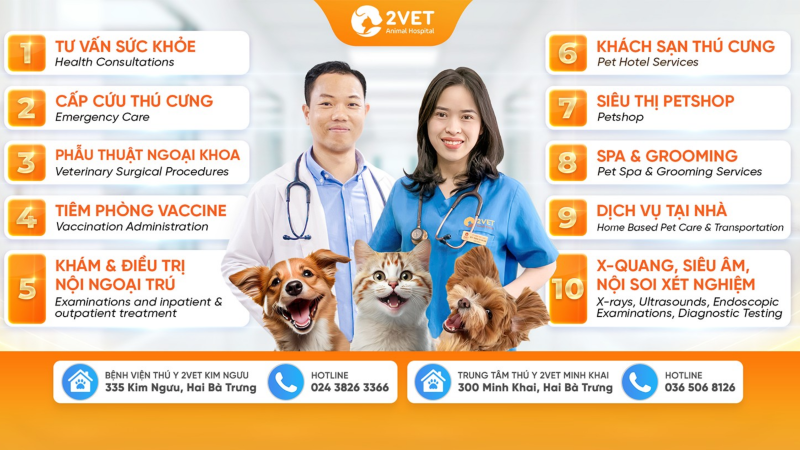 bệnh-viện-thú-y-Kim-Ngưu