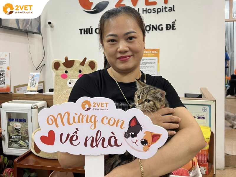 bệnh-viện-thú-y-Hải-Dương