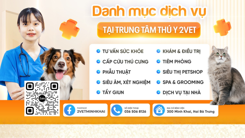 trung-tâm-thú-y-Minh-Khai