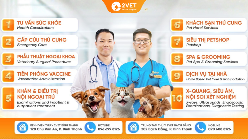 thú-y-Bạch-Đằng