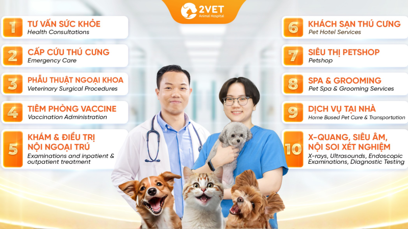 bệnh-viện-thú-y-Hải-Dương