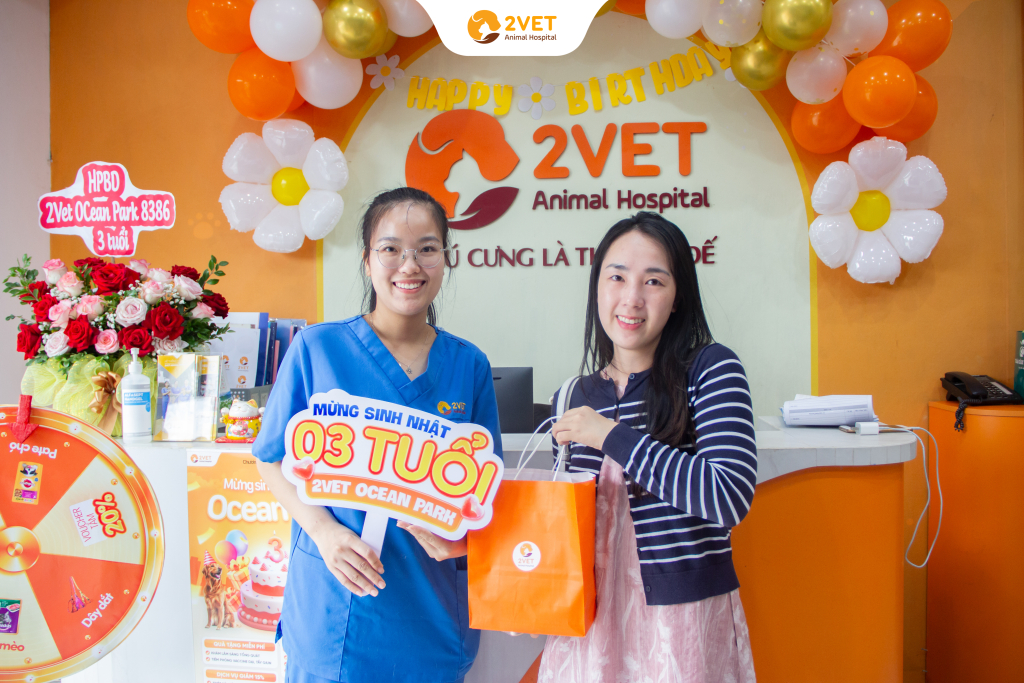2VET