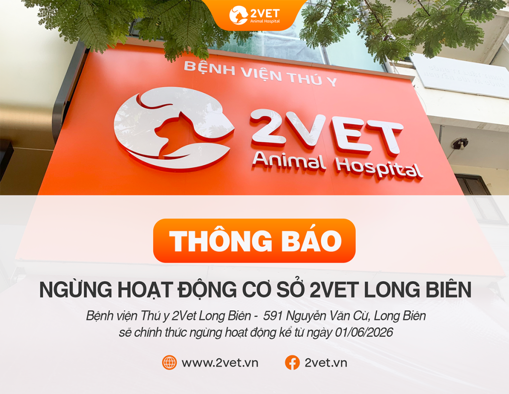 2VET